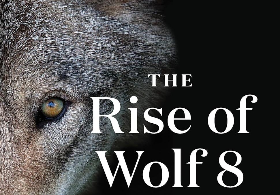 “The Alpha Wolves of Yellowstone”