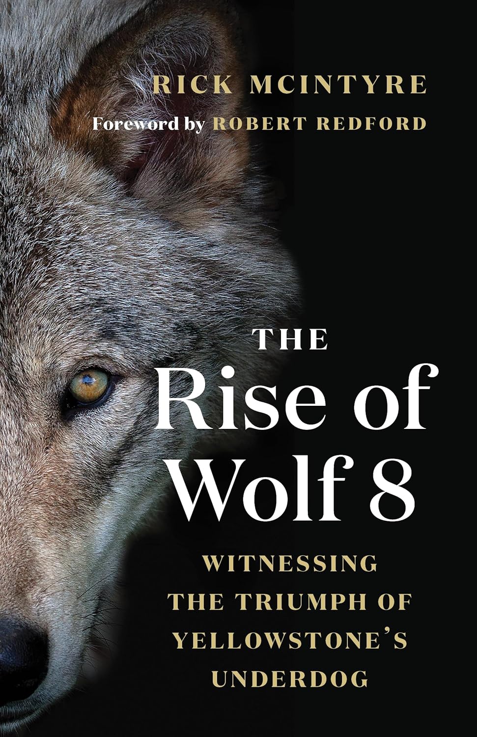 Wolf8 Wolf8