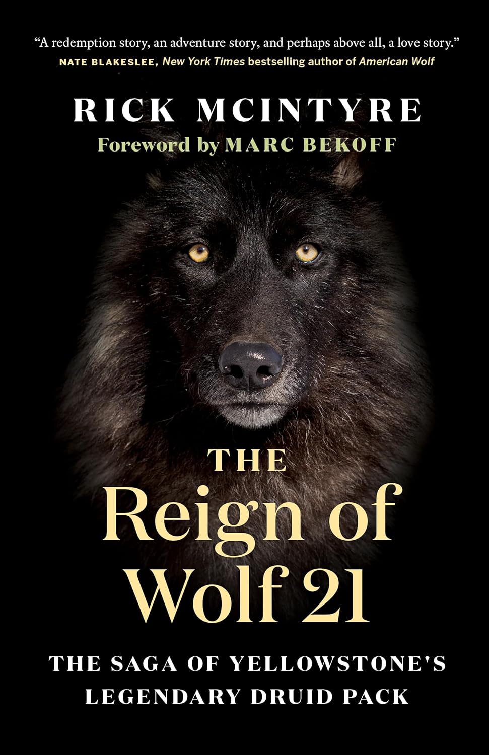 wolf 21 wolf 21